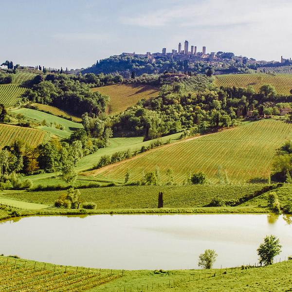Florence: Idyllic Full-Day Tour to Tuscany Visiting Chianti, Siena & San Gimignano with Lunch & Wine Tasting 2