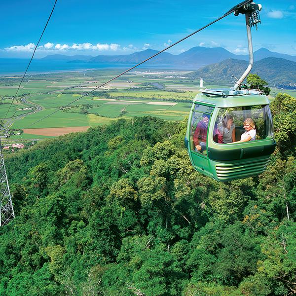 Journey through Heritage-Protected Rainforest with a One-Way Skyrail Ride & Scenic Rail Boarding Pass 6