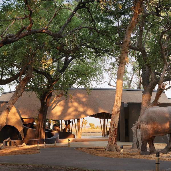 Botswana Private Fly-In Safari with All-Inclusive Belmond Lodge Stays & Daily Game Drives by Luxury Escapes Tours 5