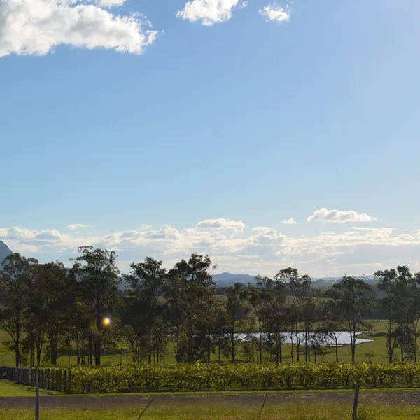 H Boutique Hotel, Pokolbin, New South Wales 8