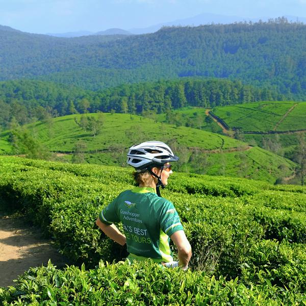 Sri Lanka 2024 Bike Tour with Scenic Train Journey, Galle Fort & Yala National Park Safari by Luxury Escapes Trusted Partner Tours 2