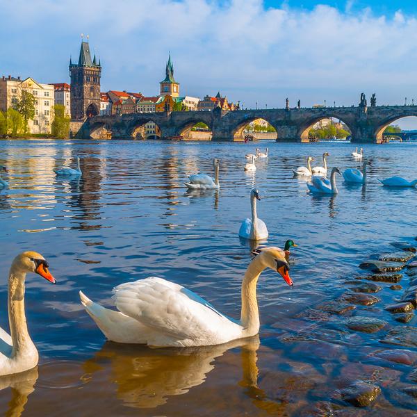 Prague, Vienna & Budapest Discovery with Schonbrunn Palace & Danube River Cruise by Luxury Escapes Trusted Partner Tours 5