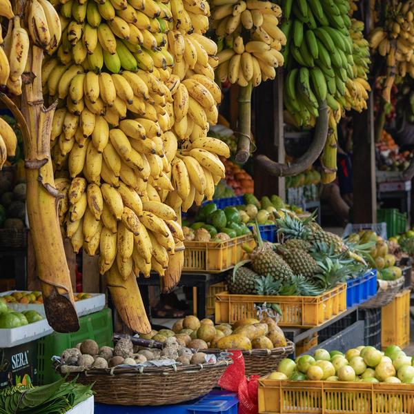 Signature Series: Sri Lanka Exclusive Foodie Tour with Matt Preston & Gary Mehigan + Singapore Airlines Flights  by LE Signature Tours 8