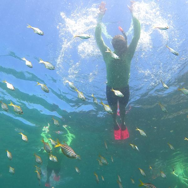 2.5-Hour Manly Snorkel & Headland Walk Eco Tour 3