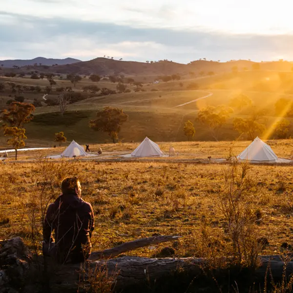 Glenayr Farm , Windeyer, New South Wales 8