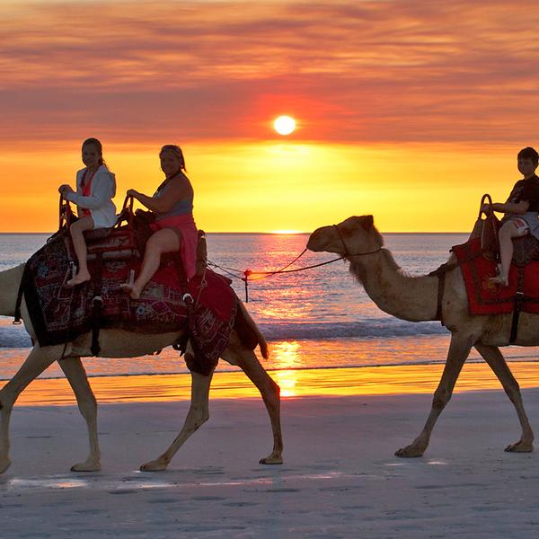 Broome: One-Hour Sunset Camel Tour on Cable Beach 6