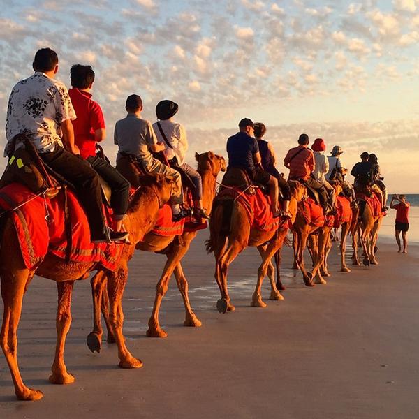 Broome: One-Hour Sunset Camel Tour on Cable Beach 7