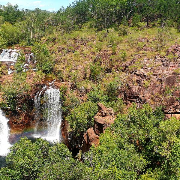 Darwin: Get Wild on an Intimate Litchfield National Park Eco-Tour with Lunch & Roundtrip Transfers 8