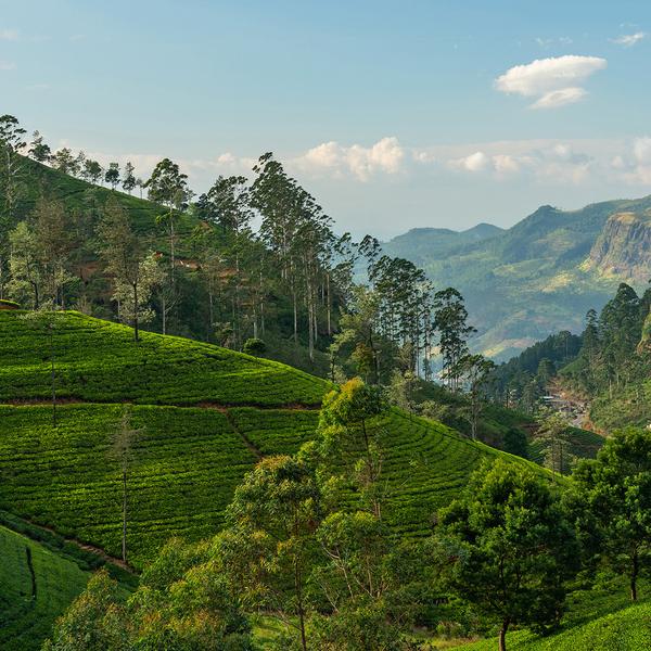 5 Very Different Ways to Tour Sri Lanka Luxury Escapes