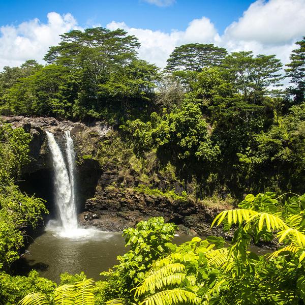 Hilo: Marvel at the Stars at Mauna Kea Volcano on a Guided Stellar Tour with Dinner & Transfers 3