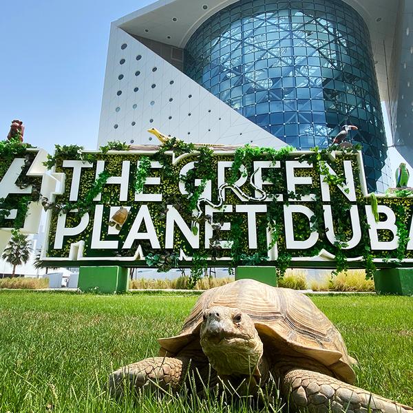 Dubai: Get a Taste of the Tropical Rainforest with The Green Planet Full-Day Entry Ticket 1