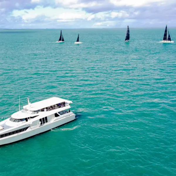 Gold Coast: 2.5-Hour Whale-Watching Cruise on a Luxury Superyacht 8