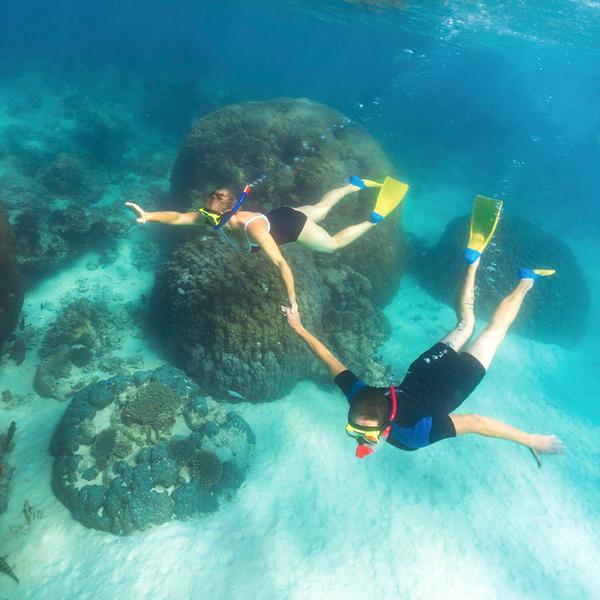 Exmouth: Full-Day Ningaloo Reef Snorkel Adventure with Morning Tea, Picnic Lunch & Snorkelling Gear 1