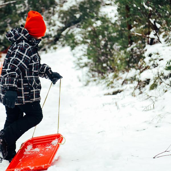 Victoria: Full-Day Tour to Mount Buller Snow Slopes with Discounted Hire  3