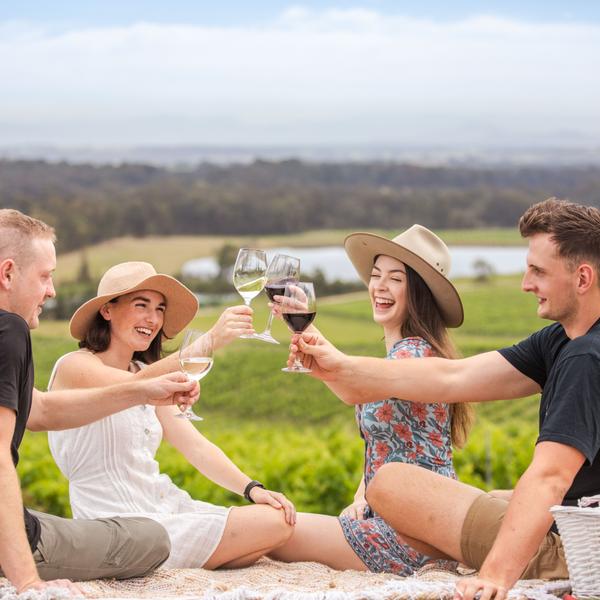 Picnic Among The Vines in Pokolbin with Wine Masterclass & Premium Tasting 4