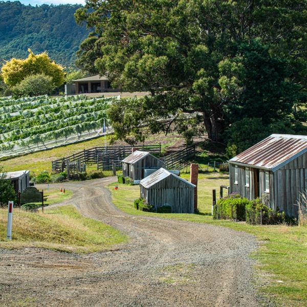 Hobart: Huon Valley Food Lover Small Group Full-Day Tour with Interactive Cheesemaking Class & Tastings 3