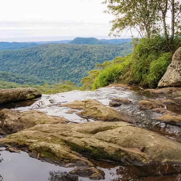 Explore the Gold Coast's Lush Hinterland with a Full-Day Explorer Pass 3