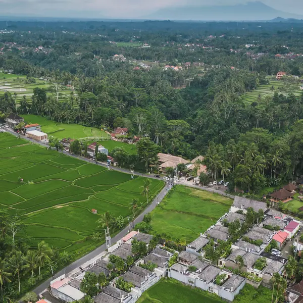 Asvara Villa Ubud, Ubud, Bali 2