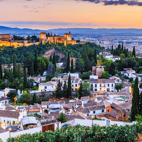Spain 2024 Small-Group Highlights Tour with Olive Oil Tasting, Alhambra Palace, Flamenco Dinner Show & Handpicked Accommodation by Luxury Escapes Trusted Partner Tours 4