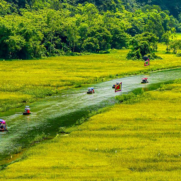 Vietnam: Private Full-Day Tam Coc Countryside Discovery Tour with Lunch, Entry Fees & Transfers 5