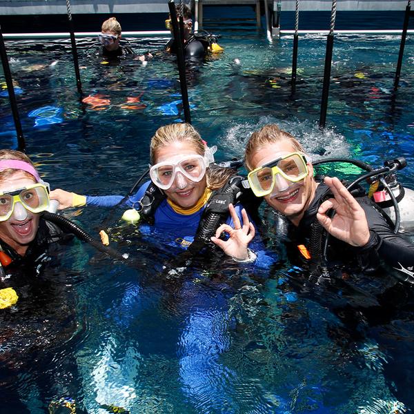 Port Douglas: Full-Day Outer Barrier Reef Snorkelling Tour with All Equipment & Tropical Lunch 6