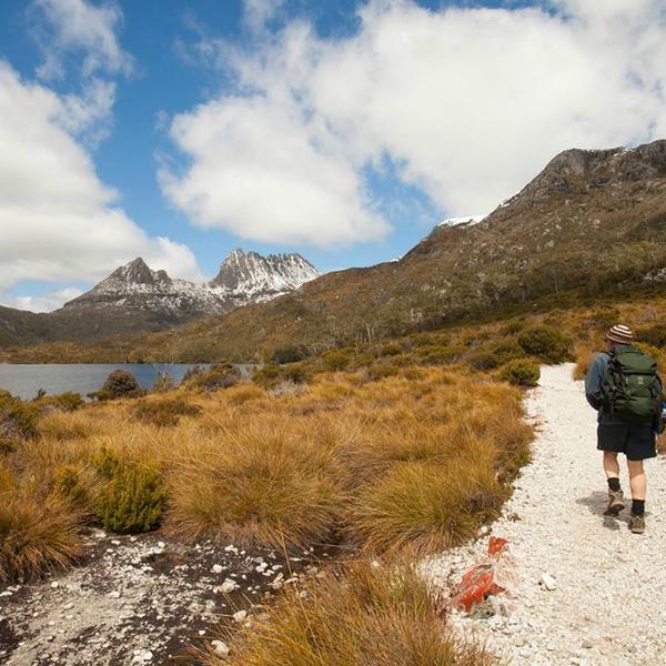 Full-Day Cradle Mountain National Park Scenic Tour with Pick-Up and Drop-Off 7