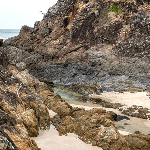 90-Minute Cape Byron Aboriginal Culture Guided Walking Tour with Bush Tucker Tasting 6