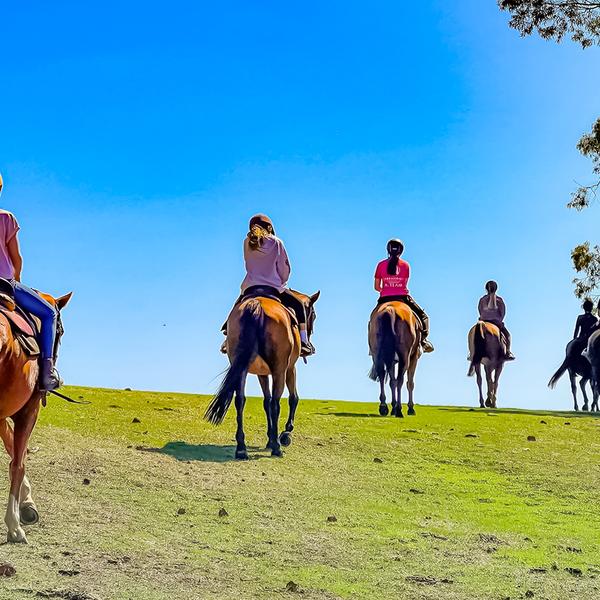 1.5-Hour Adventure Horse Ride with Grazing Platter & Glass of Wine in Jarrahdale 2