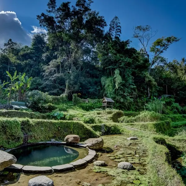 Bambu Indah, Ubud, Bali 5