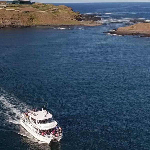 Phillip Island: Two-Hour Coastal Wildlife Cruise to Australia’s Largest Seal Colony  5