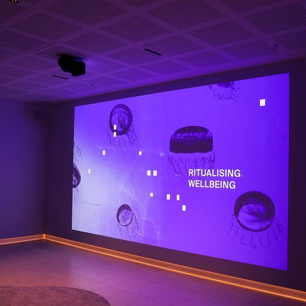 Three-Hour Introductory Wellbeing Experience with Light & Sound Therapy, Meditation & Spa 5
