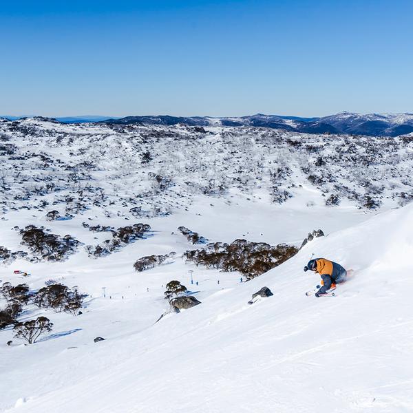 Canberra: Explore the Snowy Mountains on a Full-Day Snow Trip with Bus Transfers to Bullocks Flat Skitube & Thredbo 4