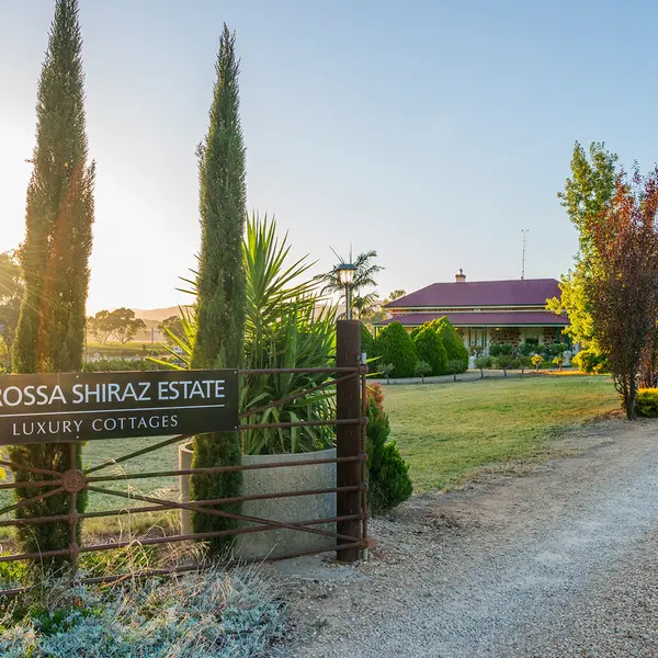 Barossa Shiraz Estate, Barossa Valley, South Australia 1