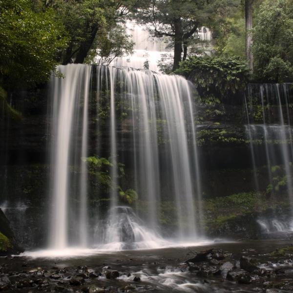 Immerse Yourself in Spectacular Forests on a Full-Day Mount Field National Park Tour with Return Transfers 2