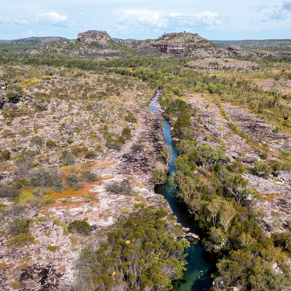 Arnhem Land & Tiwi Islands Outback Adventure with Safari Lodge Stay, Wildlife Viewing & Sunset Cruise by Luxury Escapes Tours 8