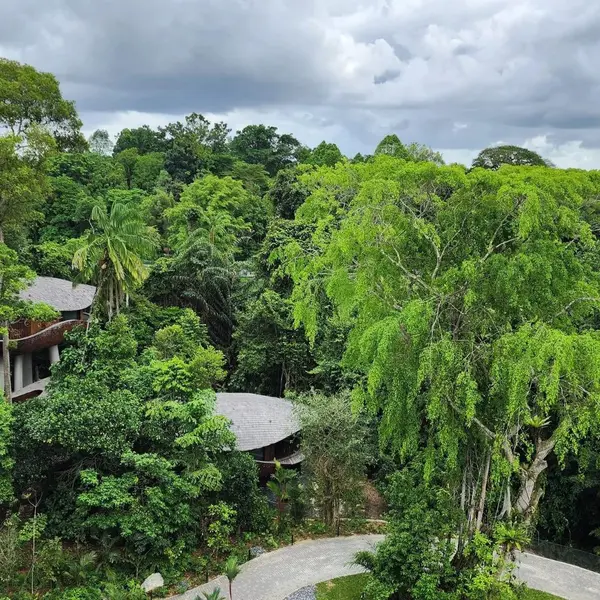Mandai Rainforest Resort by Banyan Tree, Mandai Wildlife Reserve, Singapore 7