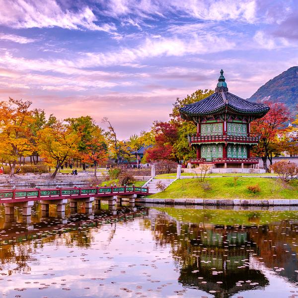 South Korea & Japan 2024 Small-Group Highlights Tour with Internal Flights, Kyoto Bullet Train & Mount Fuji by Luxury Escapes Tours 1