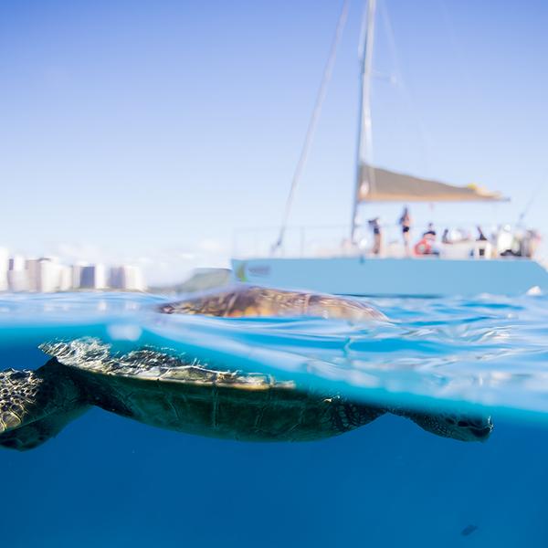 Honolulu: 1.5-Hour Sunset Sail with All-Inclusive Drinks 7