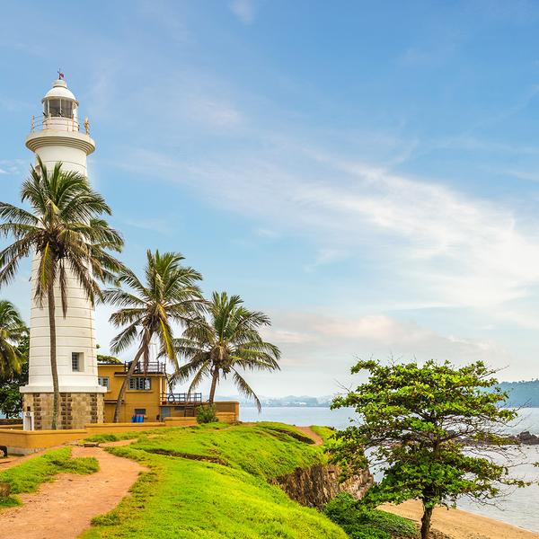 Deluxe 12-Day Best of Sri Lanka 2026 with Dambulla, Kandy & Five-Star Galle Stay by  4