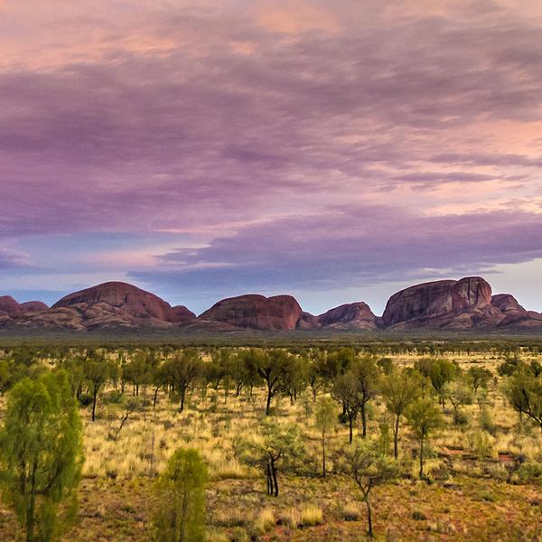 Uluru: Half-Day Kata Tjuta Sunset Tour with Sparkling Wine & Transfers 4