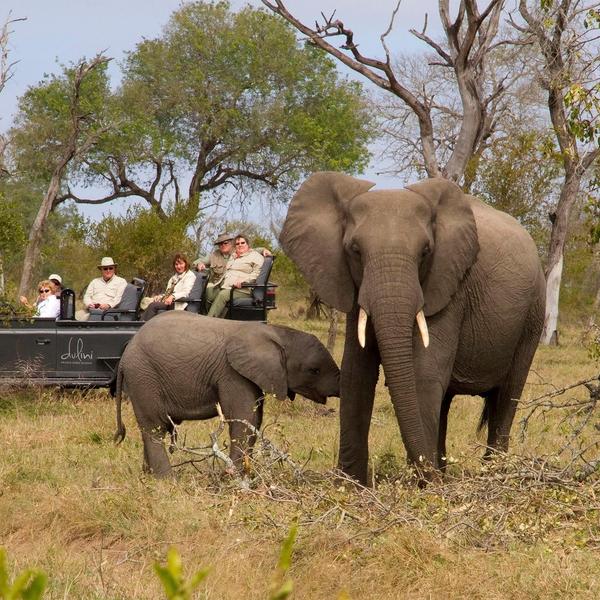 Ultra-Lux 10-Day Private South Africa Safari with Rovos Rail & All-Inclusive Sabi Sands Lodge  by  5