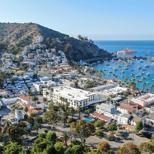 Anaheim: Explore Catalina Island with a Scenic Avalon Drive Tour, Undersea Expedition & Roundtrip Hotel Transfers 3