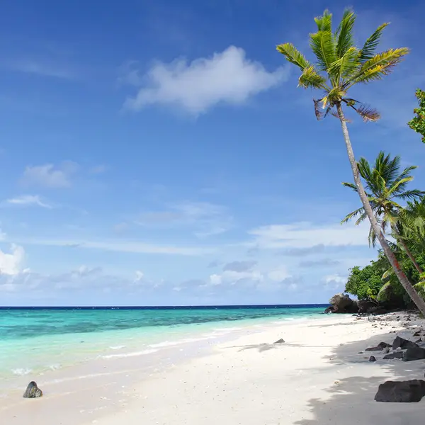 Royal Davui Island Resort , Beqa Lagoon, Fiji 5