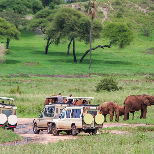 The Great Migration: Kenya & Tanzania Ultra-Lux Safari Tour with Exclusive Eco-Lodge Stays & Big Five Game Drives by Abercrombie & Kent 5