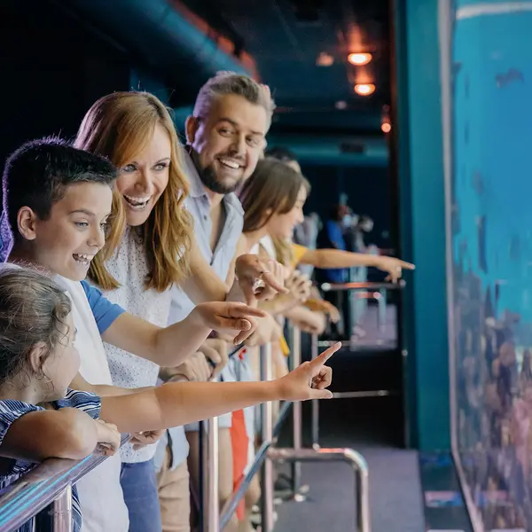 Sea World Resort, Gold Coast, Queensland 6