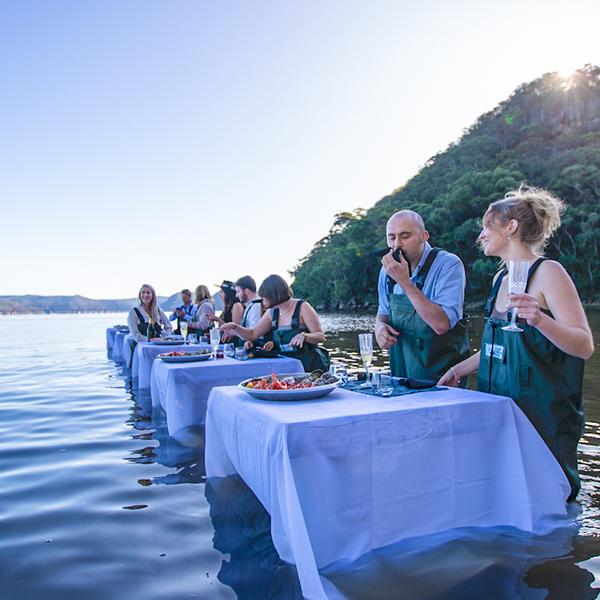 Immersive Oyster Farm Boat Tour & In-Water Dining Experience with Oyster Tasting 6