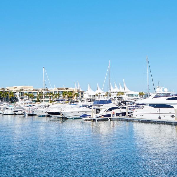 Two-Hour Sightseeing Buffet Lunch Cruise with Fresh Local Prawns 4