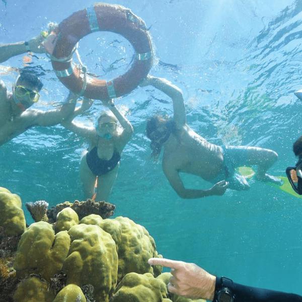 Moore Reef Pontoon Full-Day Tour with Underwater Observatory, Waterslide, Snorkelling & Optional Diving Upgrades 4