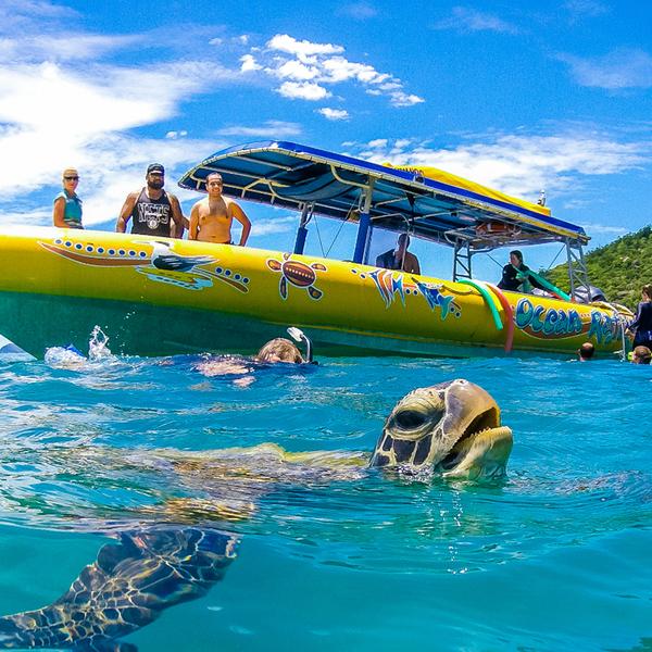 Whitsunday Islands: Exhilarating Full-Day Boat Tour from Daydream Island with Snorkelling, Beach Visits & Bushwalks  6