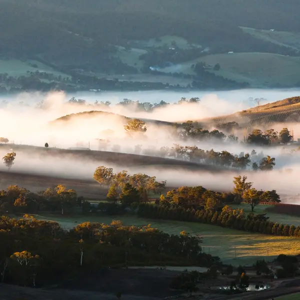 Yarra Valley Lodge, Yarra Valley, Victoria 4